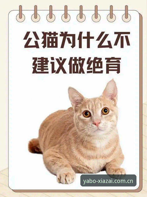 位置在你身边CN新版登录 嘿,你知道吗?每次打开亚博APP,我总有种奇怪的感觉——明明只是个体育平台,但它提醒你的不是“比赛开始了”,而是“位置在你身边”。